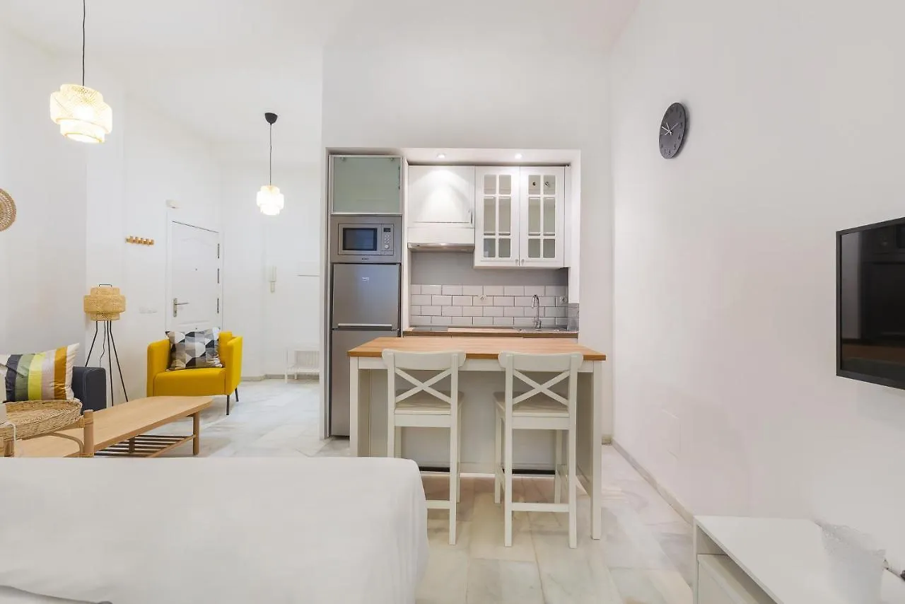 Apartment Malagaflat Design Loft City Center