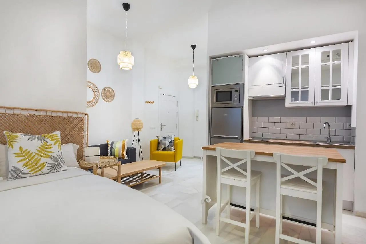 Malagaflat Design Loft City Center Apartment Malaga